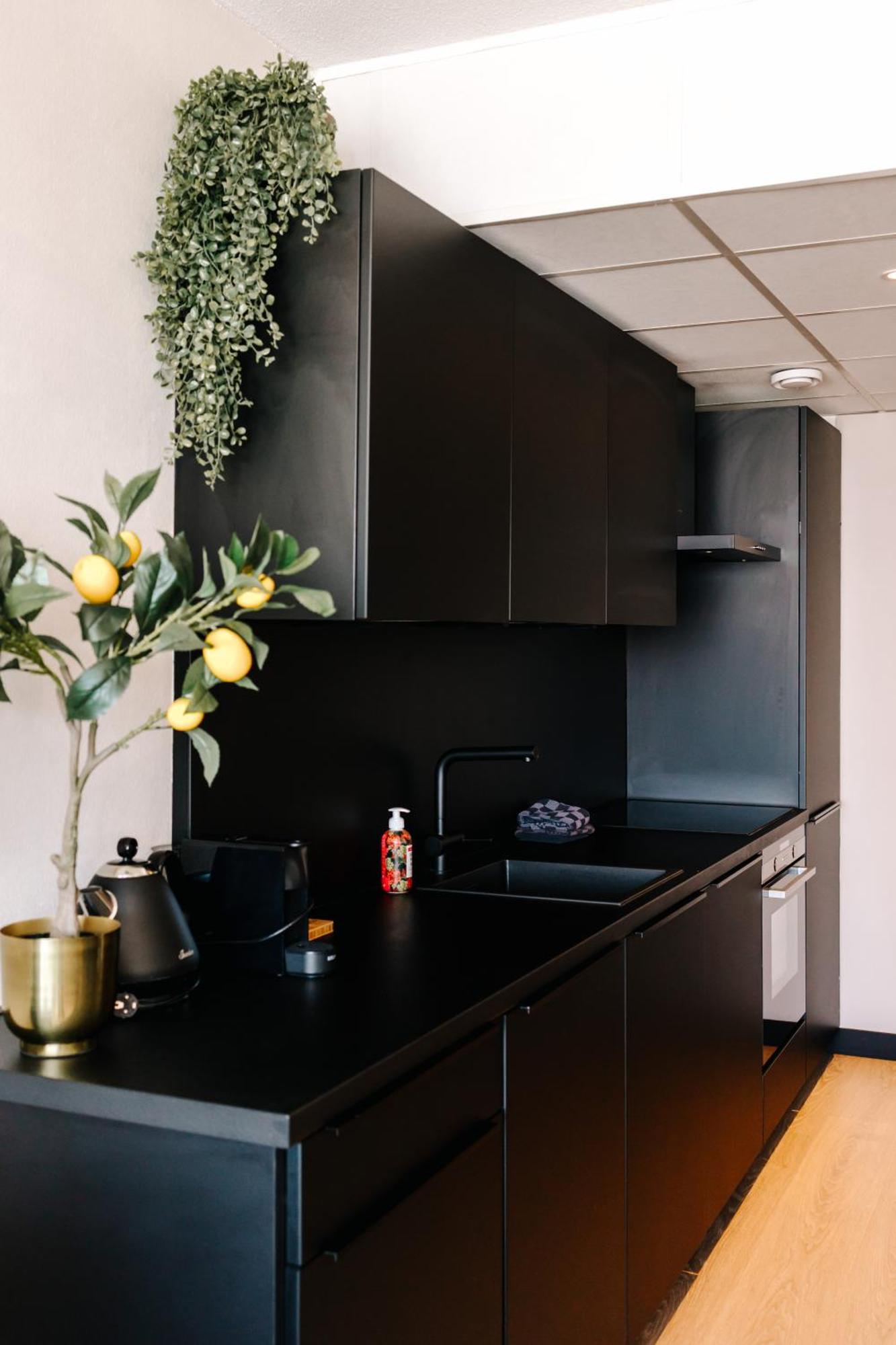 Apartment Pascalle Zandvoort Dış mekan fotoğraf